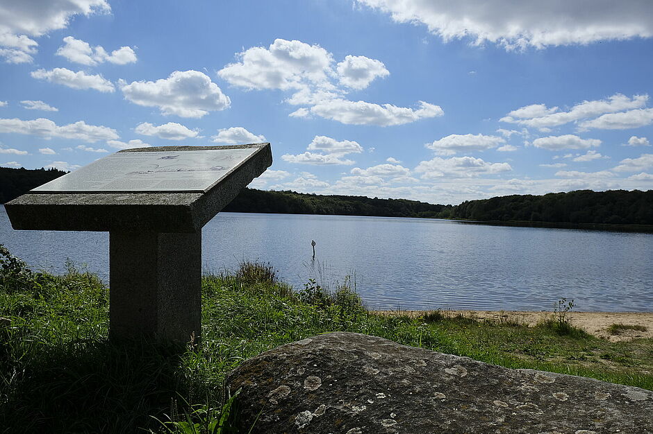 L'étang de la Hardouinais à Saint-Launeuc - Agrandir l'image (fenêtre modale)